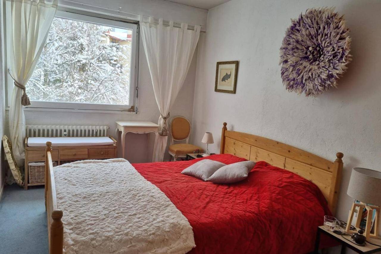 שאמוני Charming Apt With Swimming Pool In Argentiere מראה חיצוני תמונה
